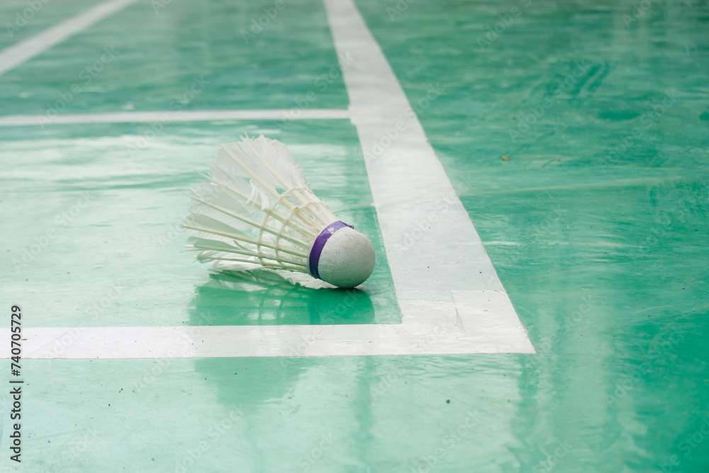 Shuttlecock at the edge of the court line