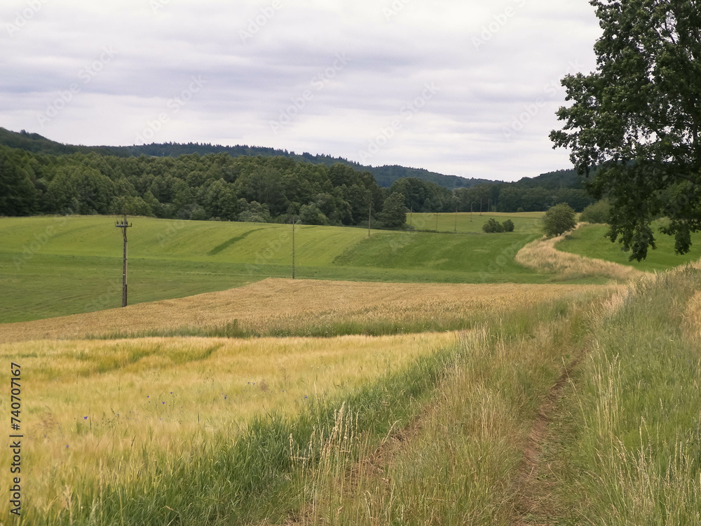 Fields and meadows of Wiezyca. Kashubia Region. Poland