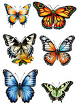 butterflies stickers set illustration in transparent background