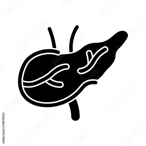 pancreas