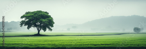 In a foggy field, a single tree stands tall and alone, surrounded by a haze of mist. The trees branches reach towards the sky, creating a stark silhouette. Empty space and place for text
