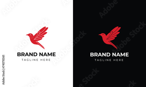 vector line art of abstract colorful hummingbird, colibri wall art design minimal bird line logo icon illustration isolated on white background