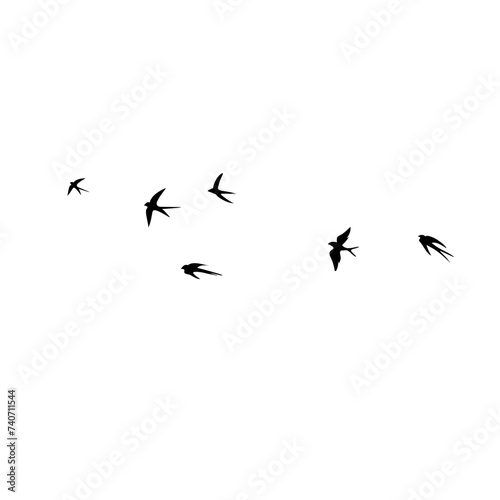 Flock of Flying Swallows