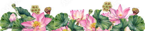 Watercolor, lotus, pink flowers illustrations, border, frame, hand painted realistic, decoration, invitation