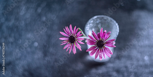 artistic picture with Shallow depth of field -flower in a glass vase and light bokeh