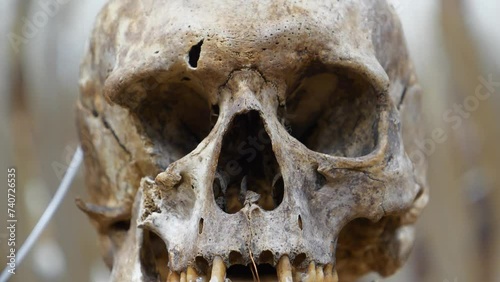 Human skull. Bones of human cranium. Face of death. Life and death, past and present. Do not feel sorry for dead. Have pity on living, and especially on those who live without love photo