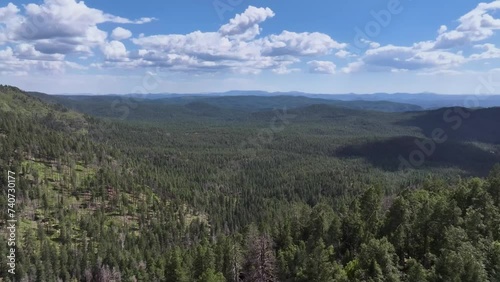 Tonto National Forest in Arizona