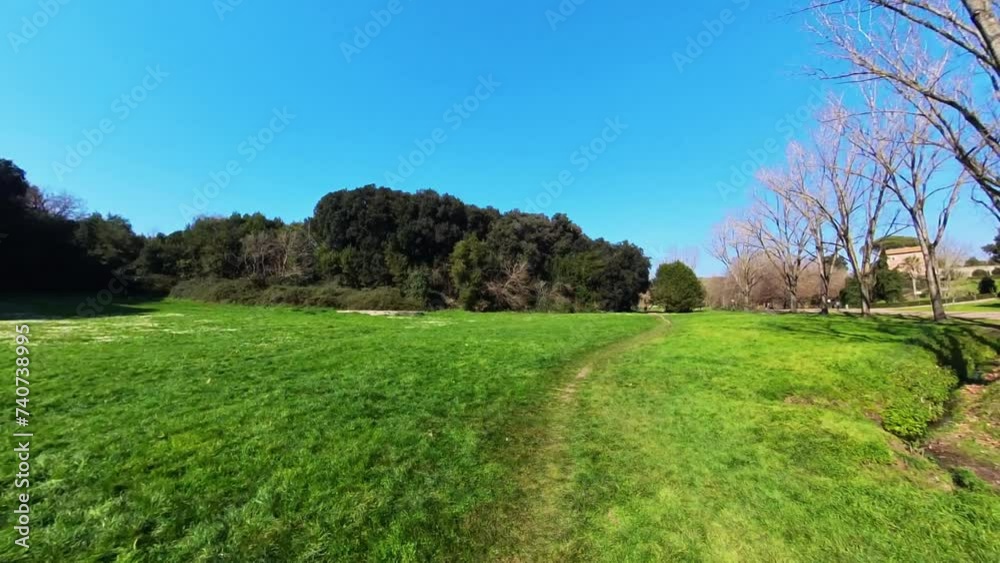 Nature in Villa Doria Pamphilj - Rome Nature in Villa Doria Pamphilj - Rome