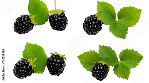Blackberry Collection: Vibrant Digital Art 3D Illustrations Isolated on Transparent Background for Fresh, Juicy Berry Designs, Perfect for Food Graphics and Summer Projects