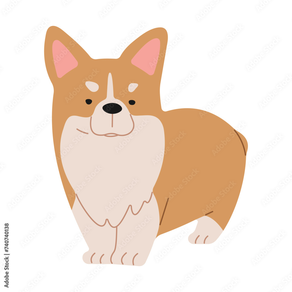Welsh Corgi 1 cute on a white background, vector illustration.