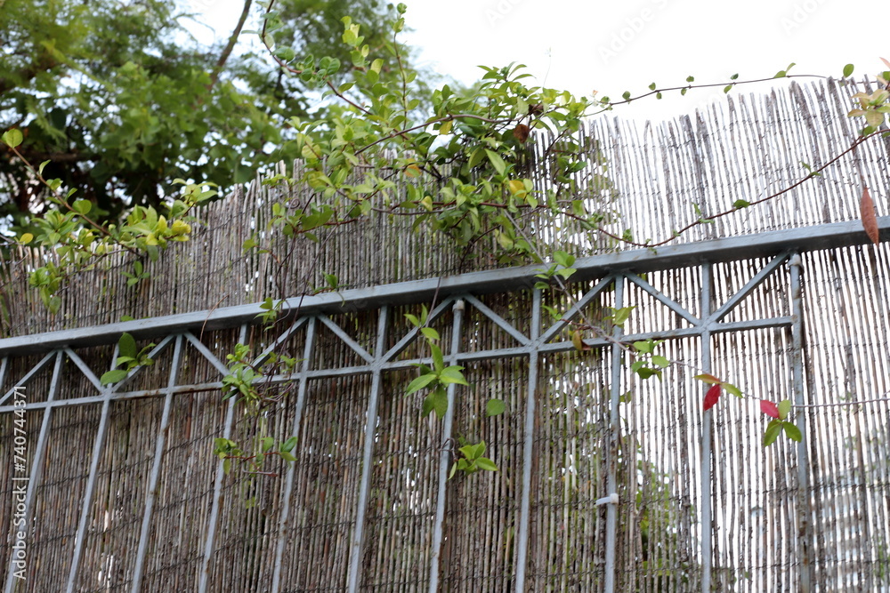 A fence in a city park in northern Israel. A fence in a city park in northern Israel.
