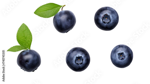 Blueberry Set: Ripe Berries isolated on Transparent Background, Top View Flat Lay for Graphic Design and Food Market Concepts.