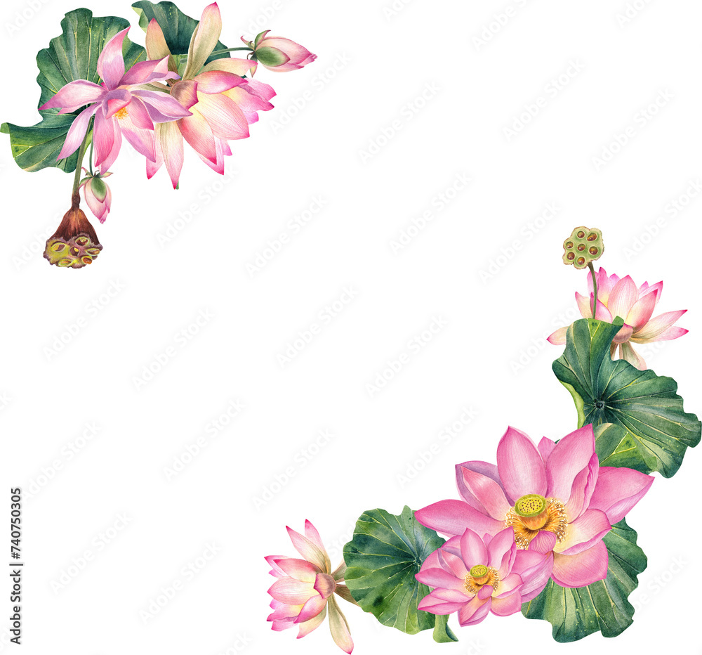 Fototapeta premium Lotus flowers, Watercolor, corner, lotus, pink flower, illustration, frame, realistic, hand painted, decoration, Mothers day, Hello summer