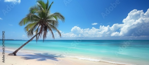 Tranquil palm tree on sandy beach under clear blue sky, tropical paradise vacation destination
