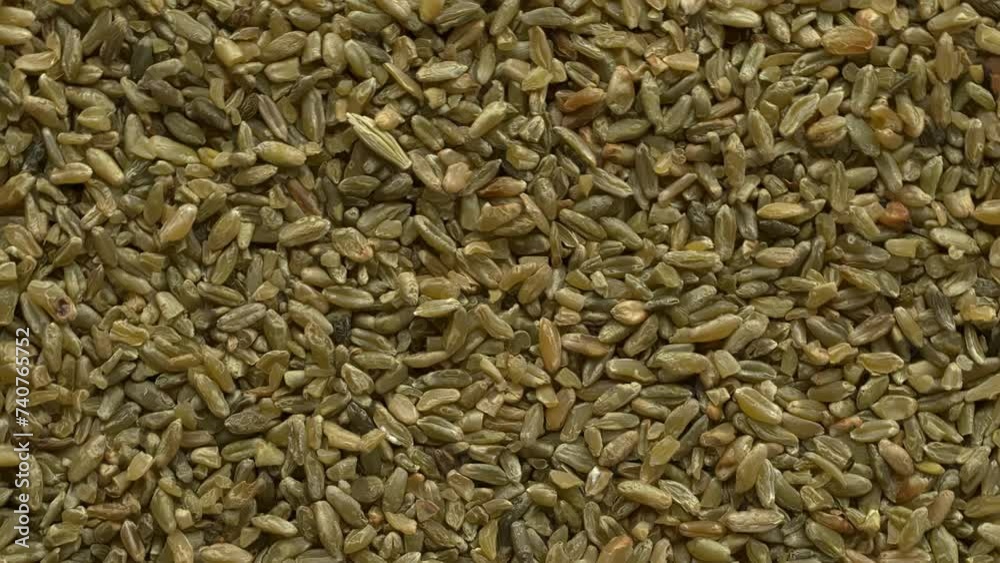 Top view of freekeh grains as an abstract food texture. The cereal made from immature, green, fire roasted wheat to make a healthy, low-glycemic-index food high in protein and minerals. Table spin. Top view of freekeh grains as an abstract food texture. The cereal made from immature, green, fire roasted wheat to make a healthy, low-glycemic-index food high in protein and minerals. Table spin.