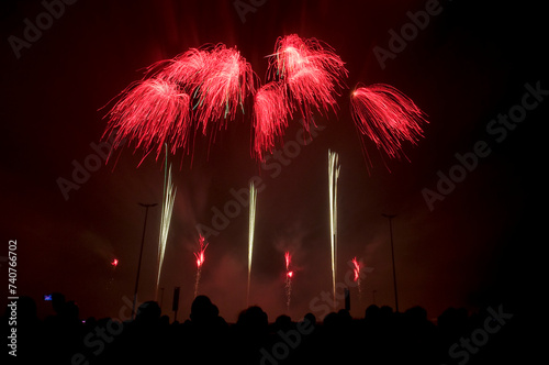 Obraz na płótnie Höhenfeuerwerk w salonie