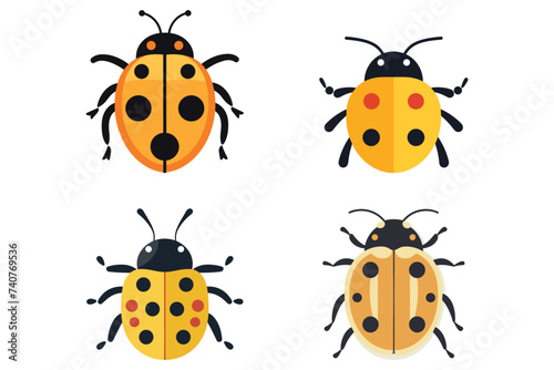 Ladybug insect and seamless vector illustration. 