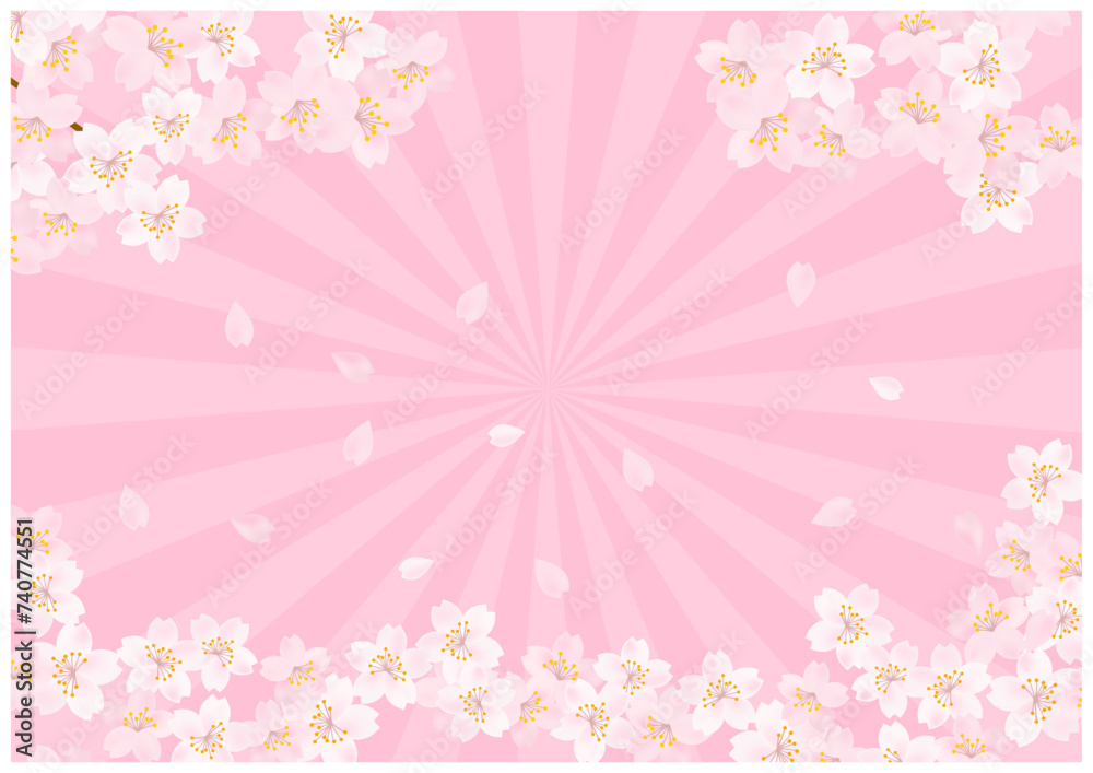 桜の花が美しい春の桜放射状背景39ピンク