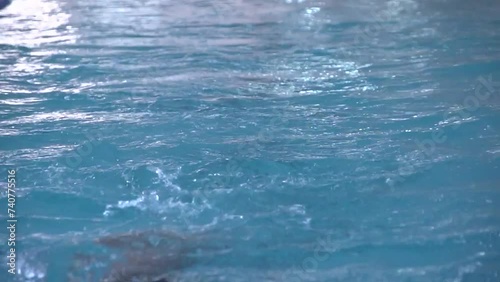 Wallpaper Mural Nadador Torontodigital.ca