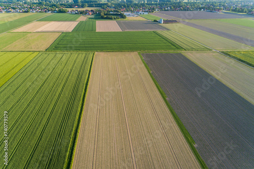 saftige Felder von oben aus der Luft, Deutschland