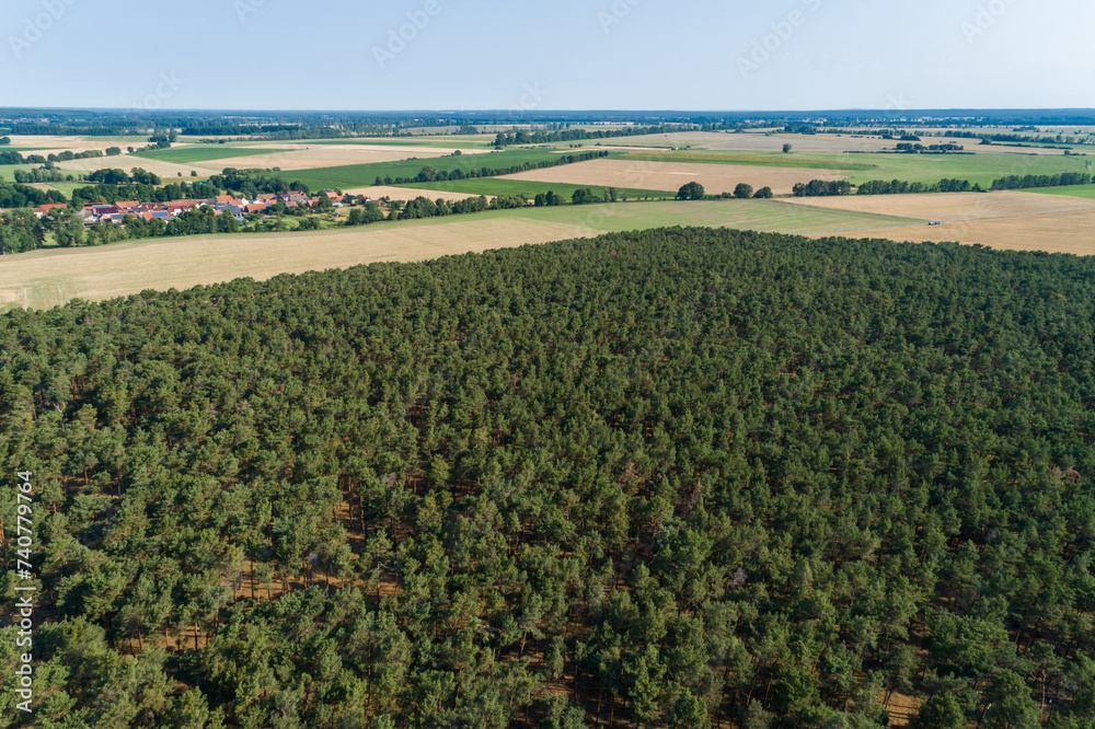 Dichter Wald von oben, Deutschland