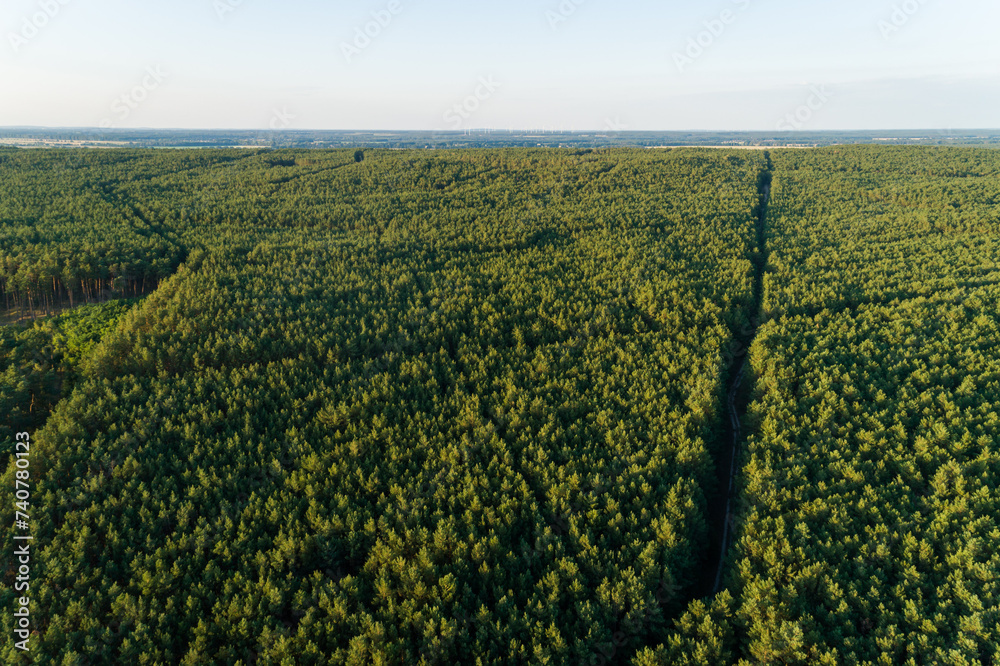 Dichter Wald von oben, Deutschland