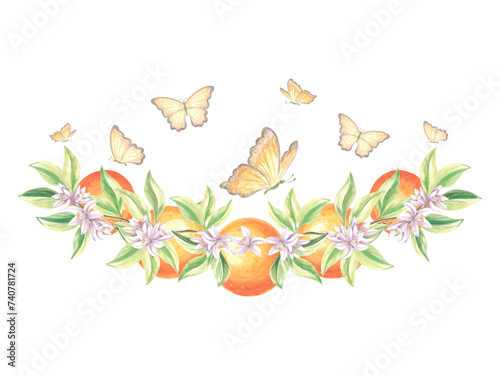 Branch of oranges fruits with green leaves, flowers and fluttering butterflies. Hand drawn watercolor illustration ofsummer citrus. Isolated print template for cards, scrapbooking, embroidery, textile photo
