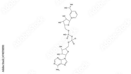 nicotinamide adenine dinucleotide molecule, structural chemical formula, ball-and-stick model, isolated image coenzyme photo