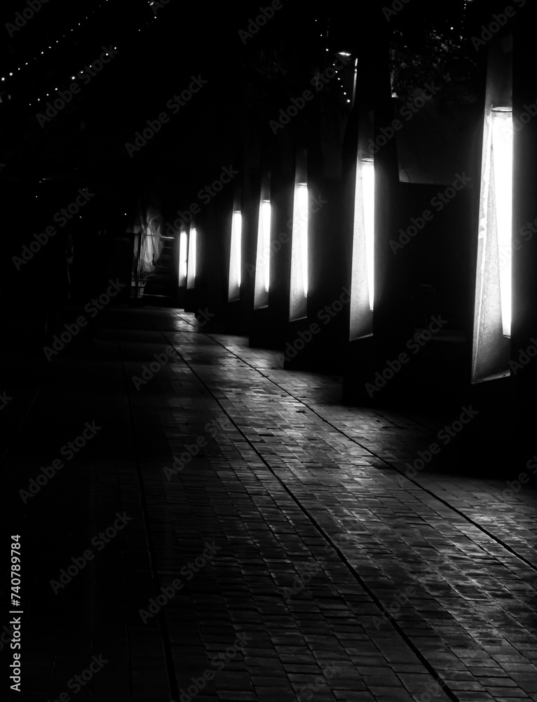black and white mystic picture with empty street and lights black and white mystic picture with empty street and lights