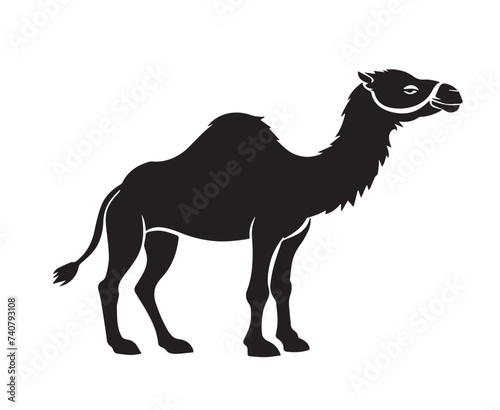 camel in the desert