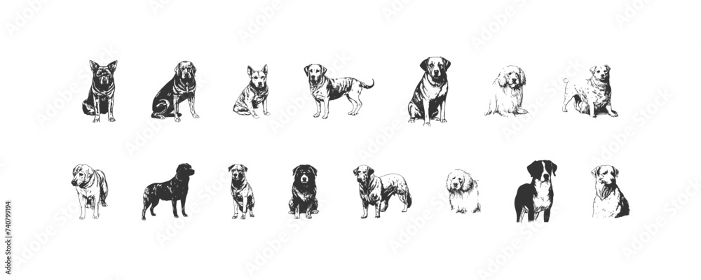 Dog hand drawn set. Vector illustration design.
