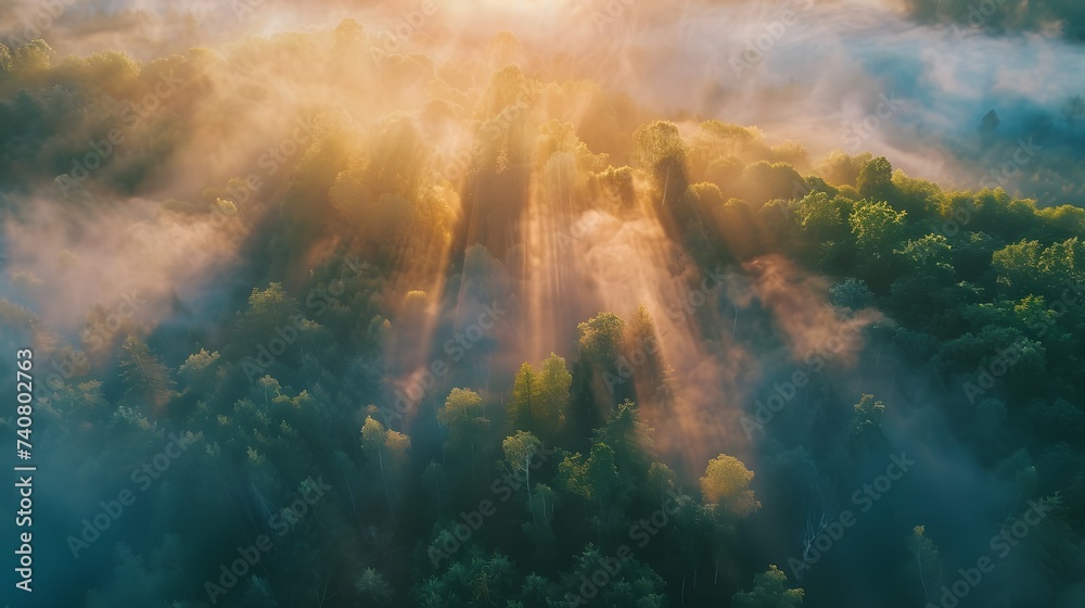 Fog and morning light in the jungle. Beautiful foggy morning Landscape. Aerial view