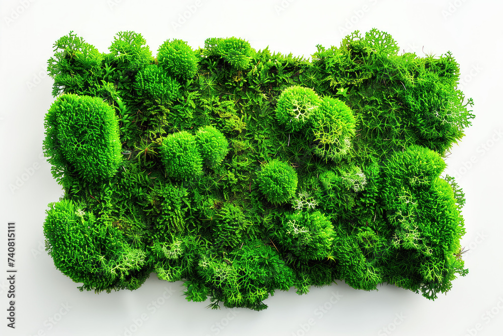 A moss patch on a white background. Created with Generative AI technology. A moss patch on a white background. Created with Generative AI technology.