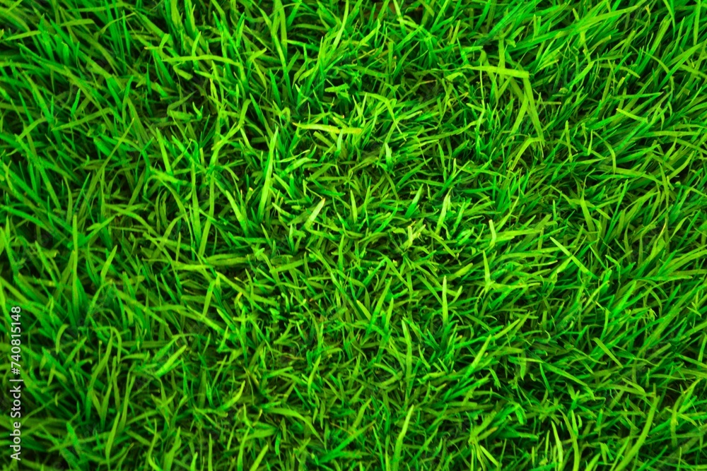 Green grass background close up Green grass background close up