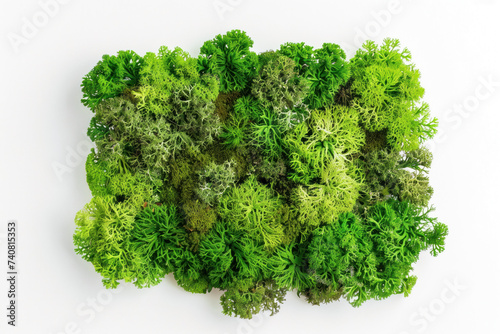 A moss patch on a white background. Created with Generative AI technology.