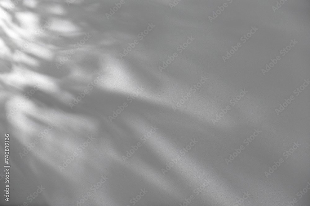Obraz premium Shadow of plant falling on white wall, space for text