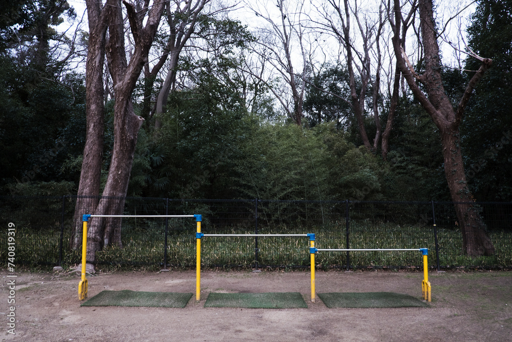 森の公園の鉄棒