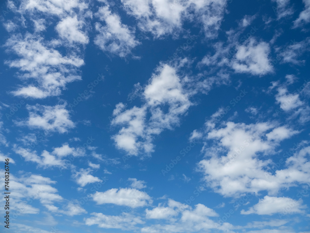 Naklejka premium Blue sky with white clouds over southwest Florida USA