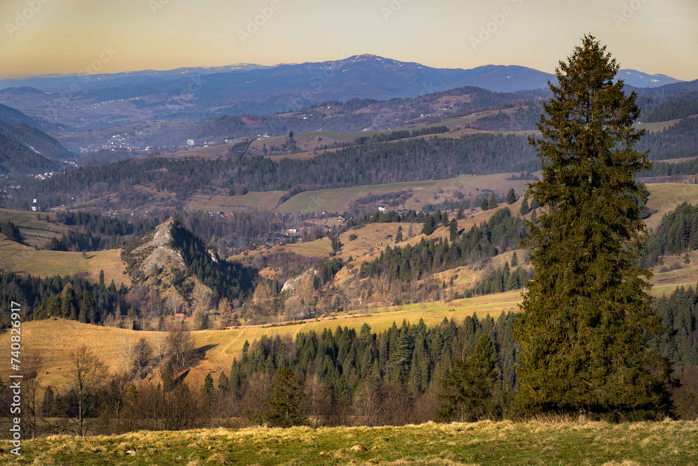 Fototapeta premium Biala Woda Nature reserve with Smolegowa Rock. View from pass Rozdziela, Pieniny Mountains.