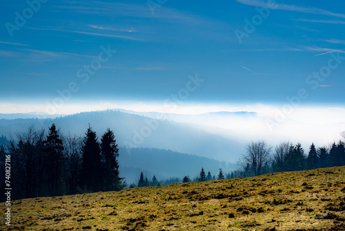 Sunny morning in Pieniny Mountains in spring