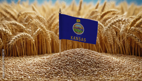 Kansas flag on a wheat field. Trade, business or food crisis and famine concept