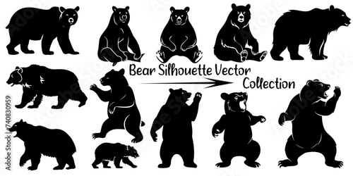 Vector silhouette bear, various bear silhouettes on the white background
