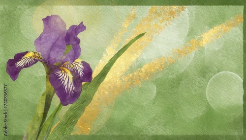美しい菖蒲の花のイラスト photo