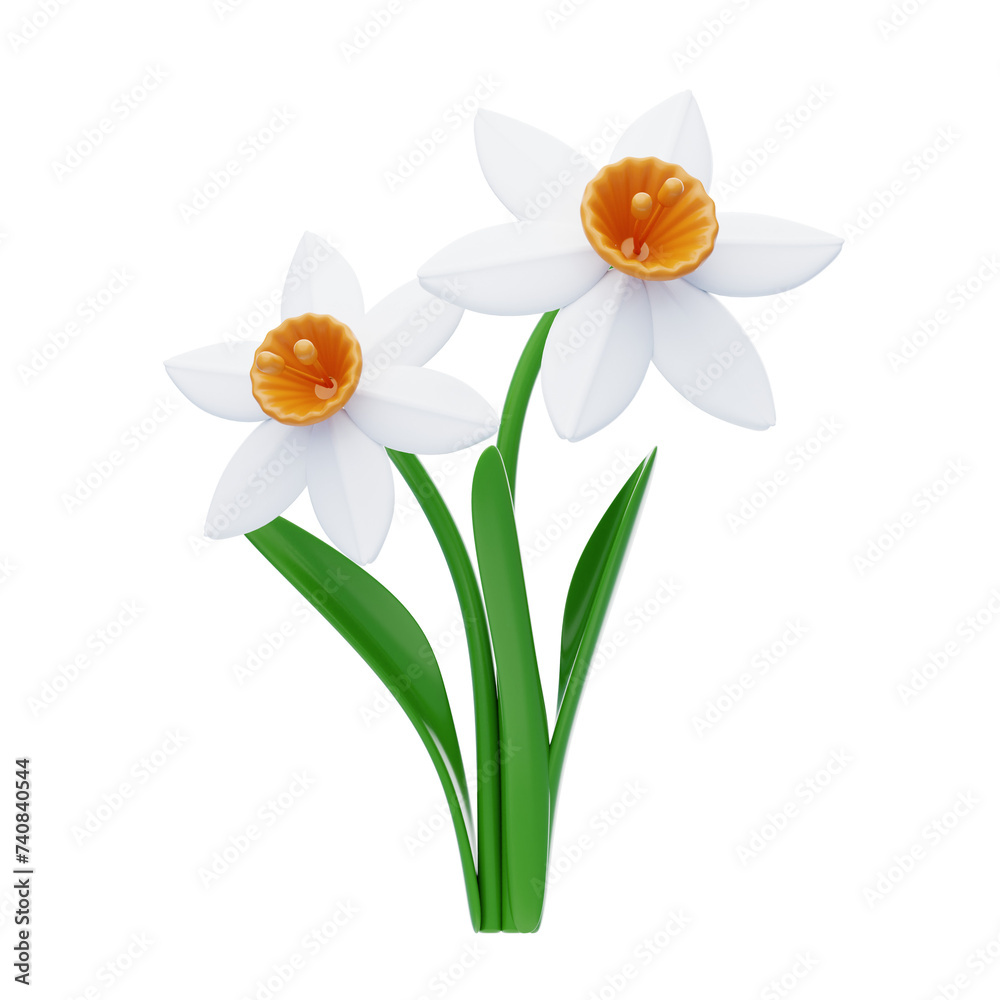 Fototapeta premium 3D Daffodil Cute Cheerful Floral Beauty. 3d illustration, 3d element, 3d rendering. 3d visualization isolated on a transparent background