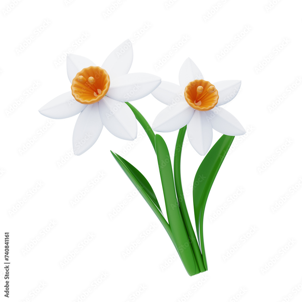 Fototapeta premium 3D Daffodil Cute Cheerful Floral Beauty. 3d illustration, 3d element, 3d rendering. 3d visualization isolated on a transparent background