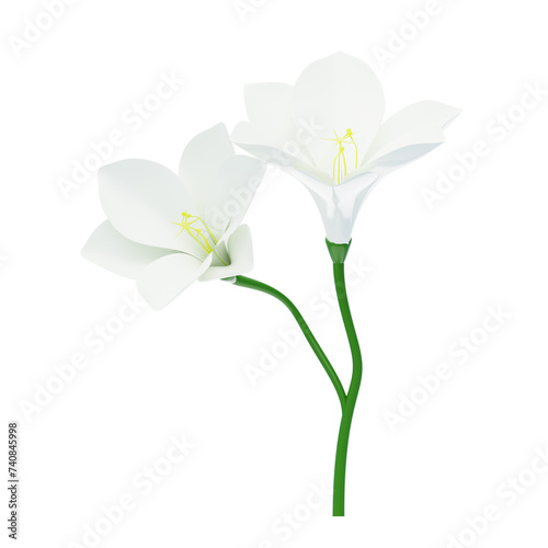 3D Freesia Flower With Two Blossoms. 3d illustration, 3d element, 3d rendering. 3d visualization isolated on a transparent background