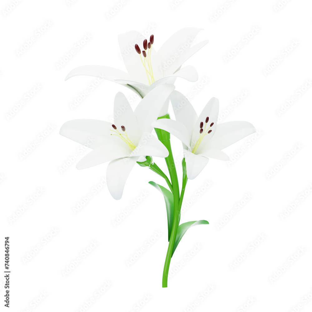 3D White Lily Flower Model Three Blossoms. 3d illustration, 3d element, 3d rendering. 3d visualization isolated on a transparent background