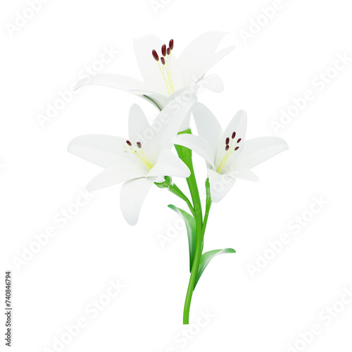 3D White Lily Flower Model Three Blossoms. 3d illustration, 3d element, 3d rendering. 3d visualization isolated on a transparent background