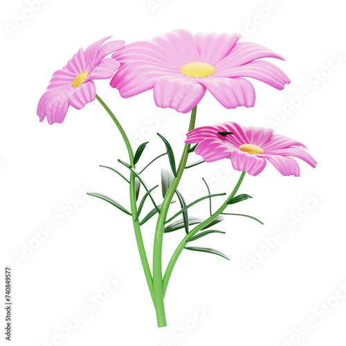 Cosmos Flower 3D Model Of Three Blossoms. 3d illustration  3d element  3d rendering. 3d visualization isolated on a transparent background
