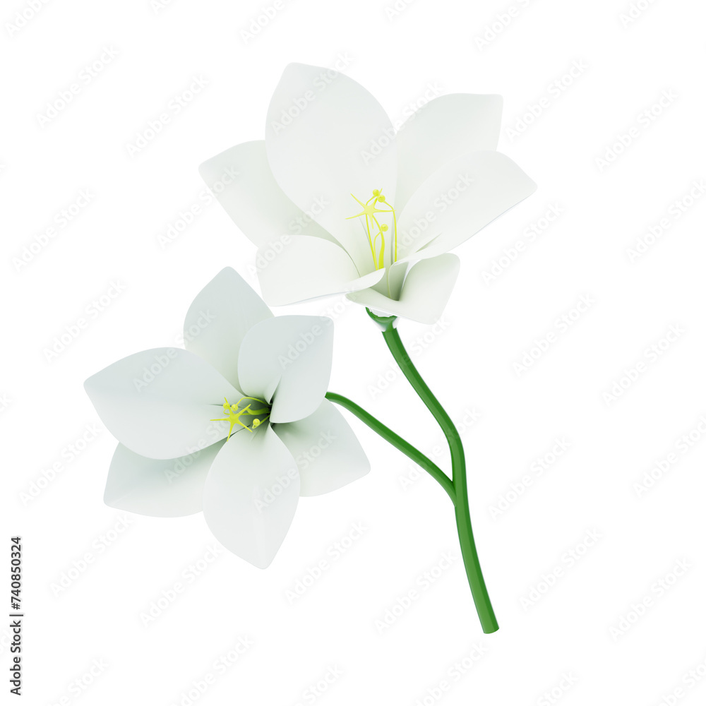 3D Freesia Flower With Two Blossoms. 3d illustration, 3d element, 3d rendering. 3d visualization isolated on a transparent background 3D Freesia Flower With Two Blossoms. 3d illustration, 3d element, 3d rendering. 3d visualization isolated on a transparent background